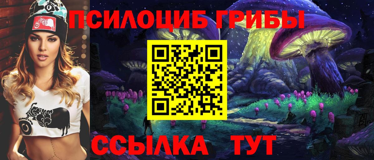 Псилоцибиновые грибы Psilocybine cubensis Кунгур