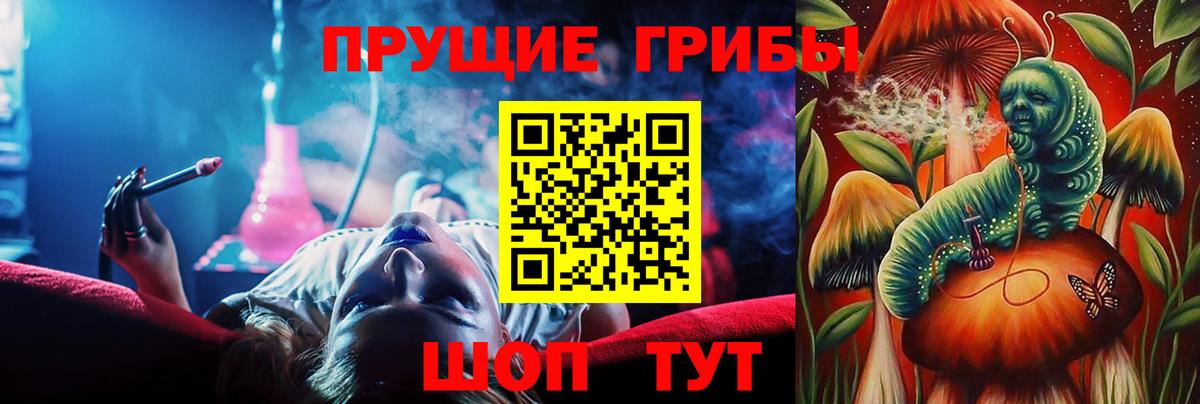 Кунгур  Псилоцибиновые грибы прущие грибы  Псилоцибиновые грибы мицелий  Вход с VPN 