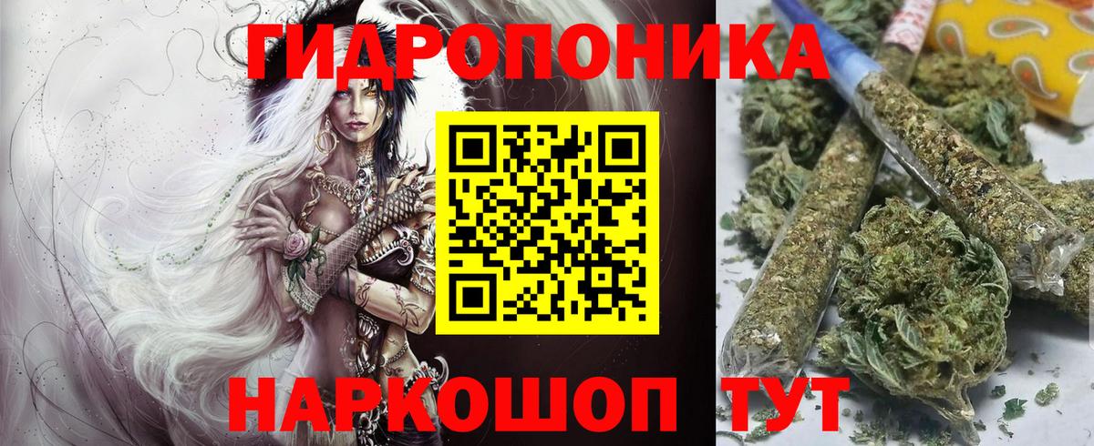Марихуана семена Кунгур